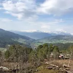 Bordalen-voss *