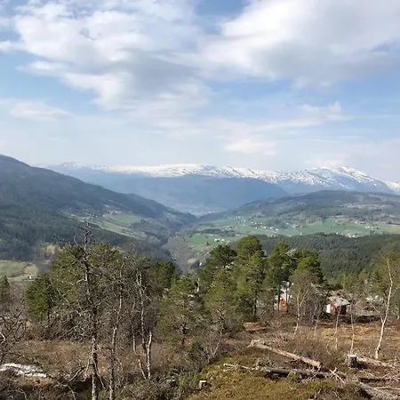 Bordalen-voss *