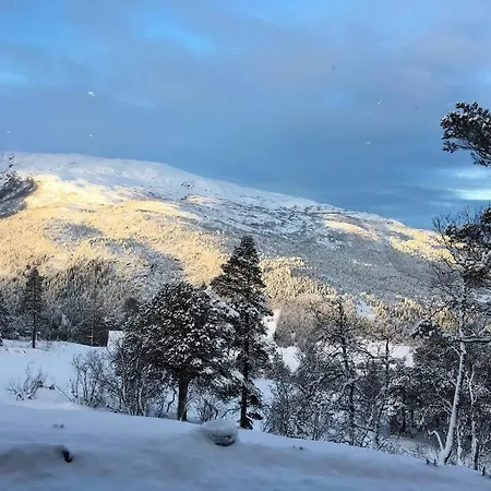 Apartament Bordalen-voss